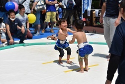 2019-1.jpg