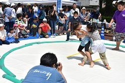 2019-2.jpg